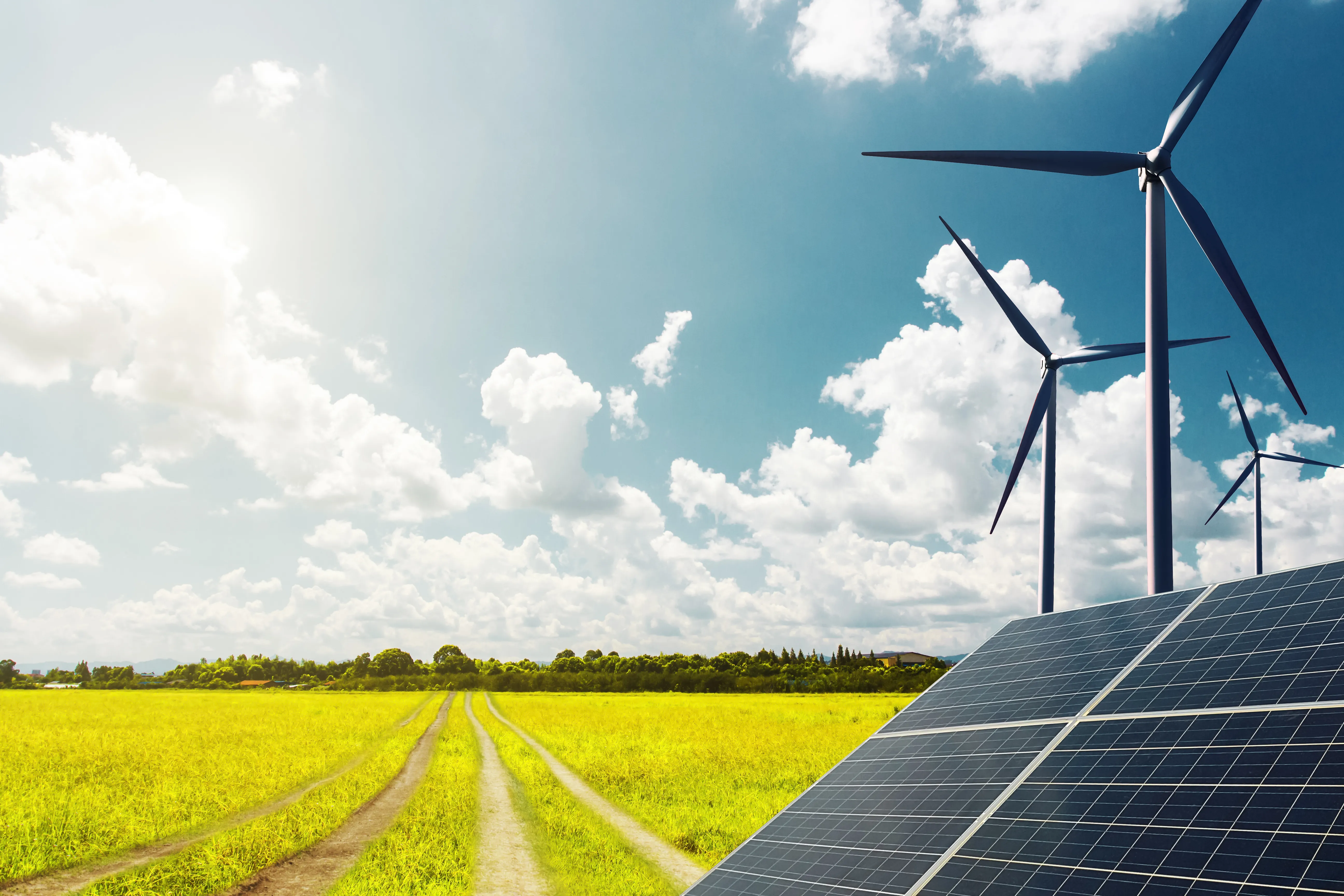 Solar panels and wind turbines near a vehicle path crossing a field
