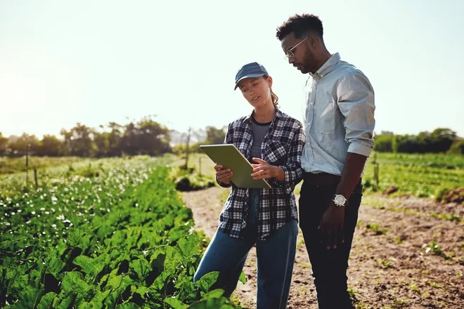 A woman wearing a plaid shirt and a hat, showing a tablet to a man dressed in formal clothes in front of large crops.