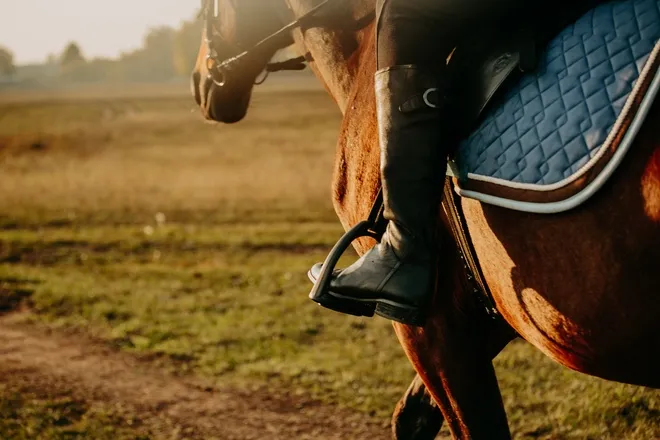 A brown horse trots as the sun sets. The horse wears a blue saddle pad, and the rider's boot is in the stirrup.