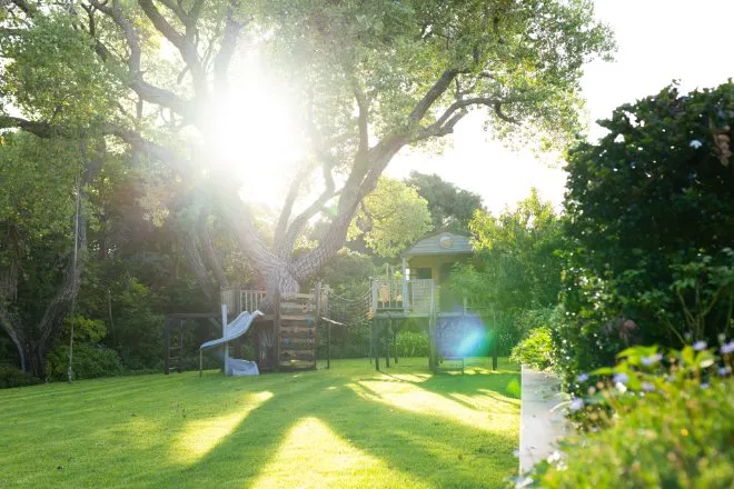 A home's backyard with a small tree house and a kid's play house. The large tree in the center is mature with a lush canopy.