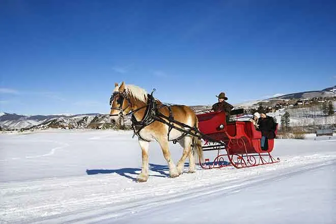 PICT 64J1 Sleigh Ride - LP - AdobeStock - iofoto