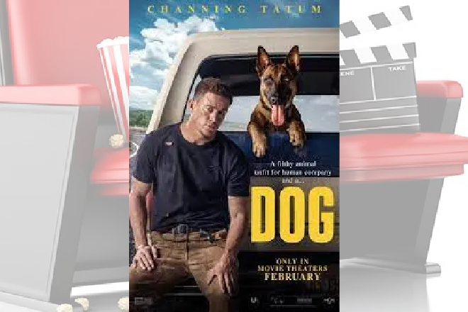 PICT MOVIE Dog