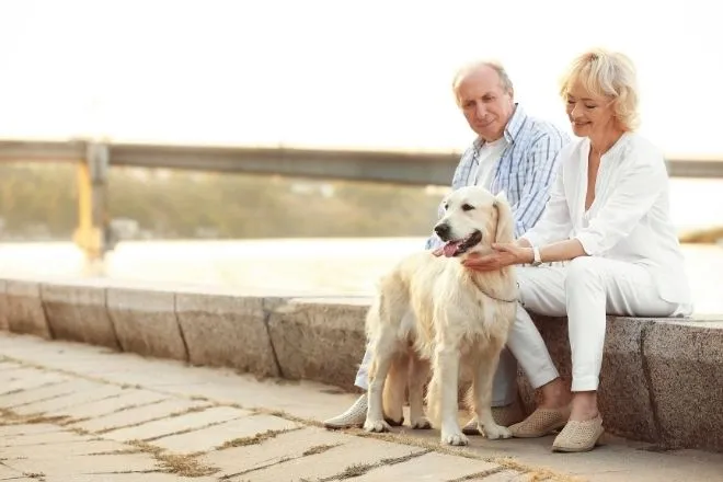 The Best Pets to Get for Lonely Older Adults