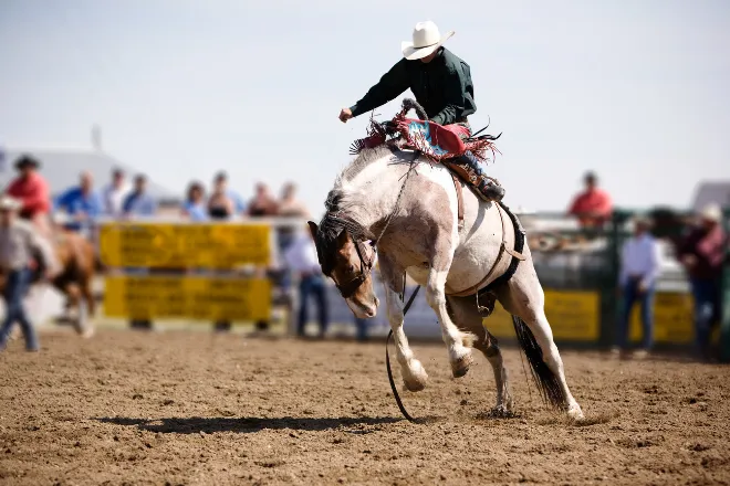 PICT -Man on Horse - Adobe Stock - Tyler Olson