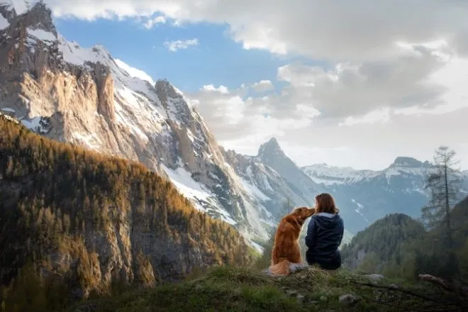 cIdeas For Enjoying the Great Outdoors With Your Dog