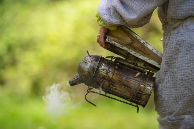 Most important equipment for beginner beekeepers