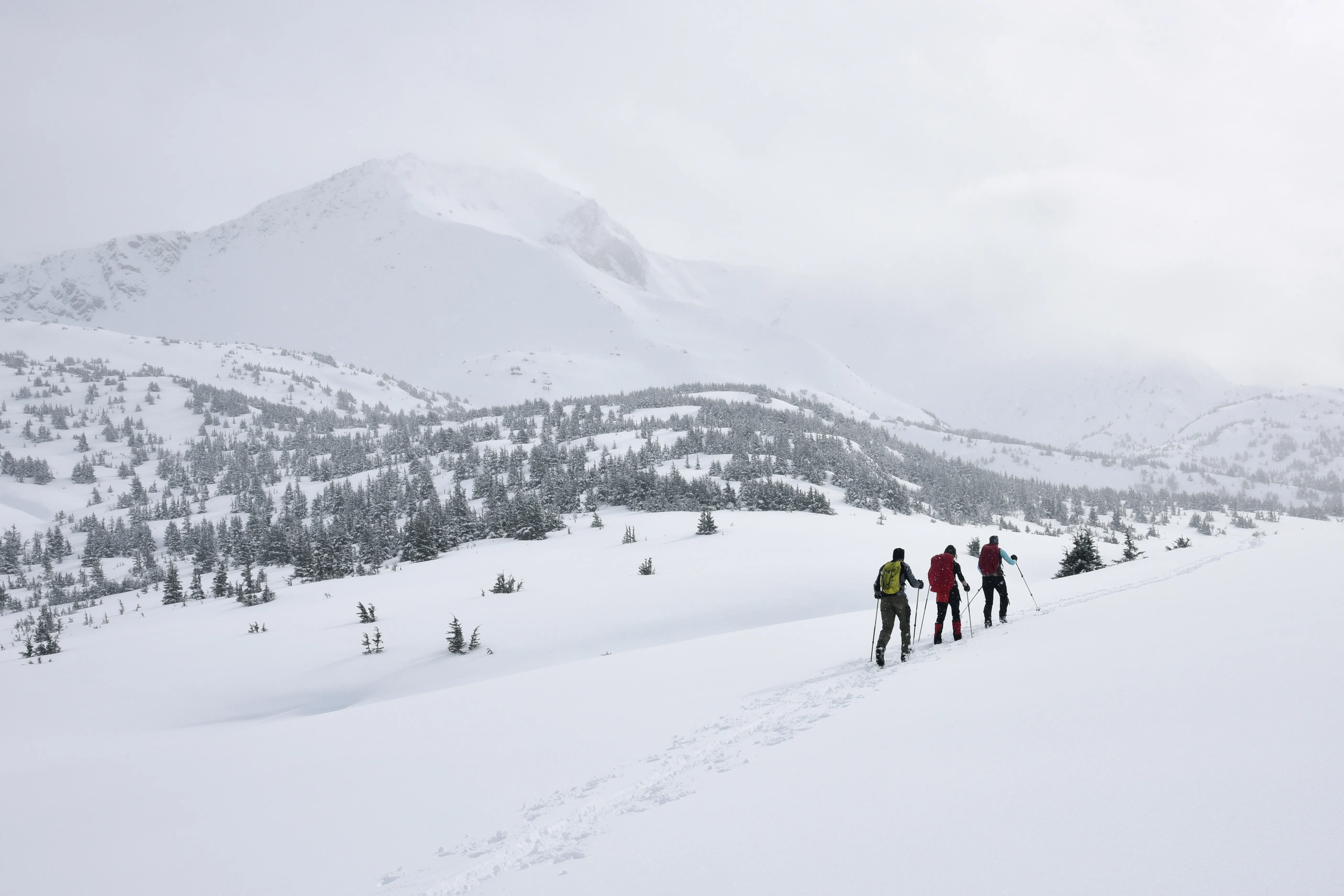 Top Backcountry Skiing