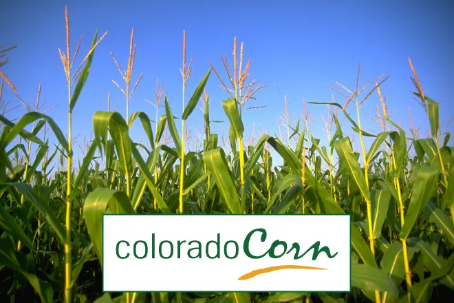 PROMO 660 x 440 Agriculture - Colorado Corn - FEMA Colorado Corn