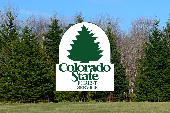 PROMO 660 x 440 Outdoors - Logo Colorado State Forest Service - Wikimedia
