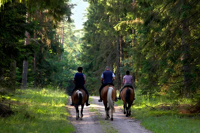 PROMO 660 x 440 Outdoors - Recreation Horseback Riding People Forest Trail - iStock - amaxim