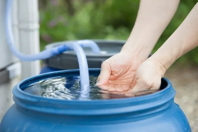 Why You Should Start Capturing Rainwater