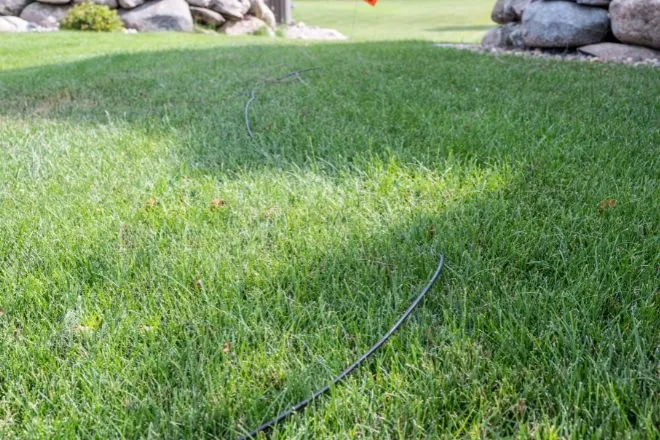 Tips for Running Internet Cables in Your Yard