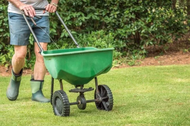 Simple Steps You Can Take To a Cleaner Yard