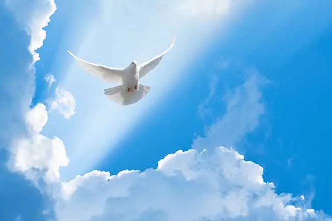 PROMO Faith - Religion Animal Bird Dove Clouds - iStock - akinshin