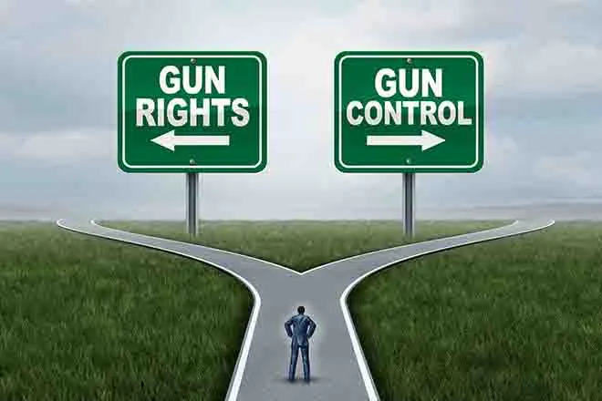 PROMO Government - Sign Gun Rights Control - iStock - wildpixel