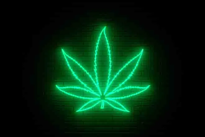 PROMO 64J1 Plant - Marijuana Leaf Neon Sign - iStock - Nikolay Evsyukov
