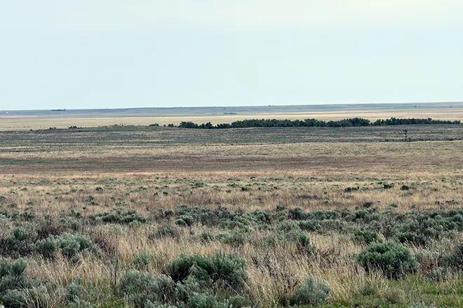 PROMO 660 x 440 Miscellaneous - Prairie Sage Brush Sand Creek Kiowa County Colorado - Chris Sorensen